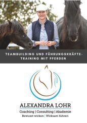 Führungskräftetraining mit Pferden