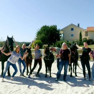 Ausbildung Pferdecoaching 