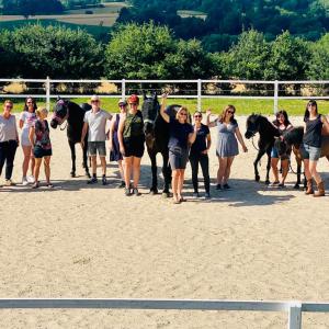 Ausbildung Pferdegestütztes Coaching 