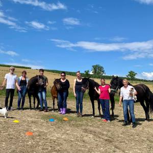 Coaching mit Pferden Ausbildung 