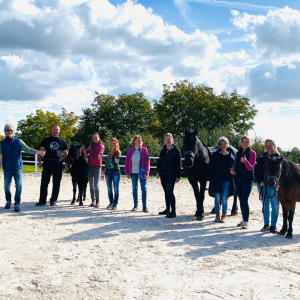 Ausbildung Coaching mit Pferden 