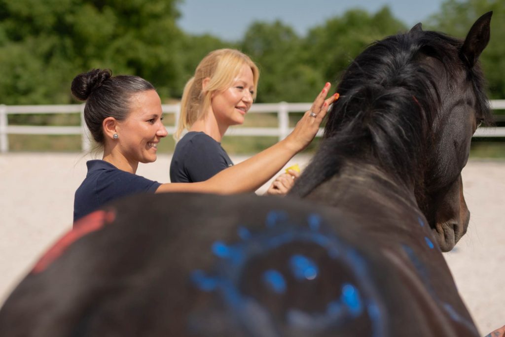 das pferd in einem teambuilding