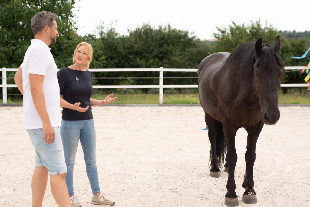 Pferdegestütztes Führungstraining