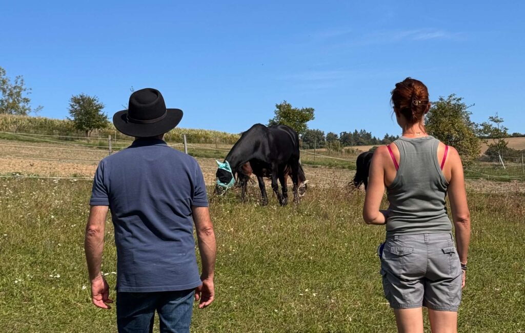 Ausbildung perdegestütztes Coaching - wichtige Fragen bevor der neue Kurs startet