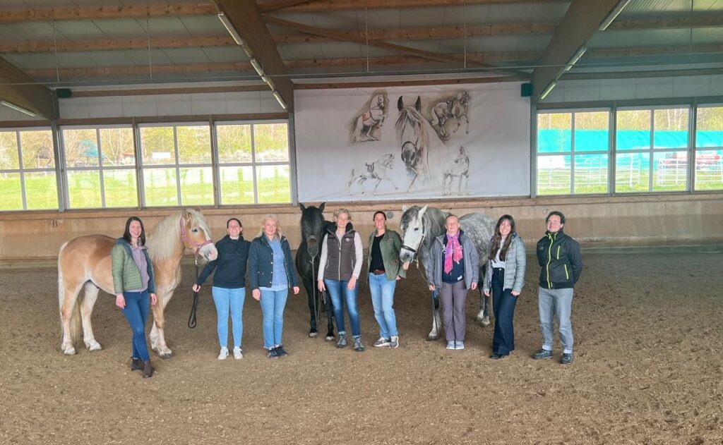 Ausbildung im Coach mit Pferden