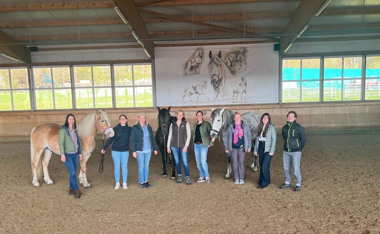 Ausbildung Coach mit Pferden Ausbildung im Coach mit Pferden