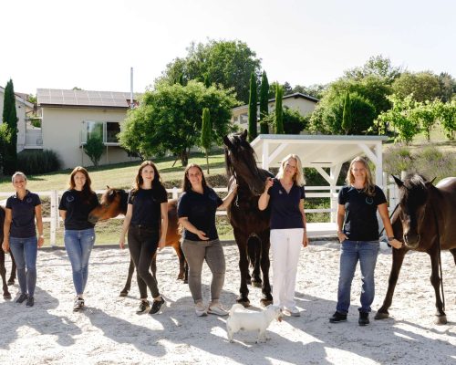 InnerCircle_PferdegestütztesCoaching_AlexandraLohr3