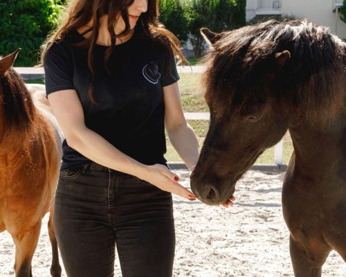 InnerCircle_PferdegestütztesCoaching_AlexandraLohr6