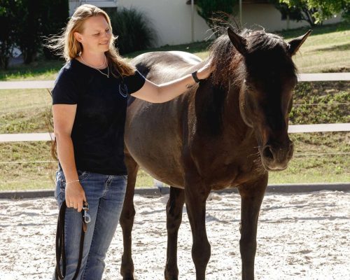 InnerCircle_PferdegestütztesCoaching_AlexandraLohr9